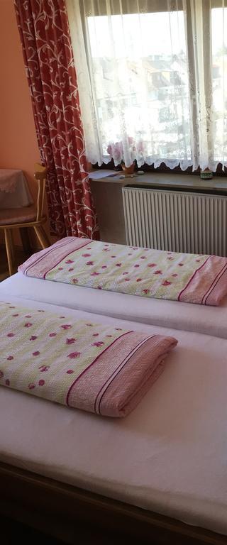 Gasthof Und Pension Mainzer Rad Schwetzingen Exteriör bild